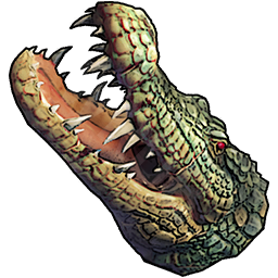 Crocodile Head