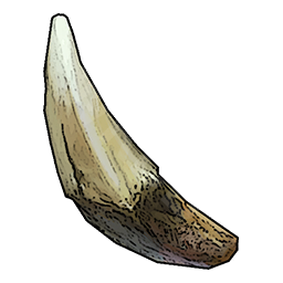 Wolf Fang